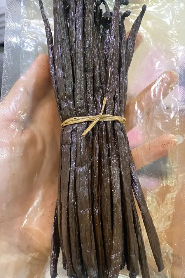 vanilla bean preview