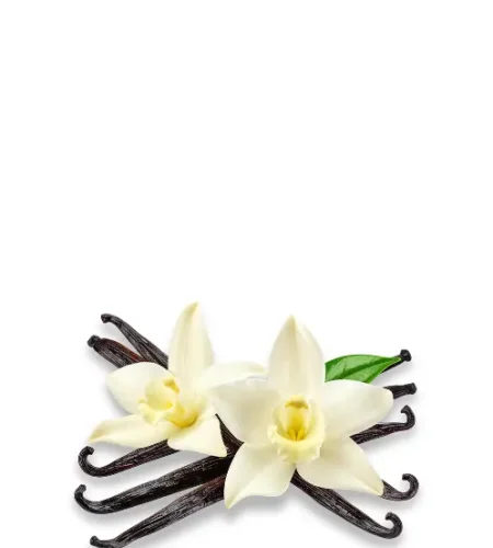 Vanilla Bean Product